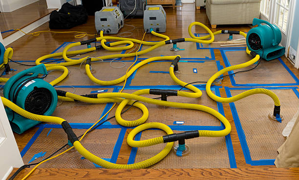 Professional Water Extraction technician working in Aledo, IL